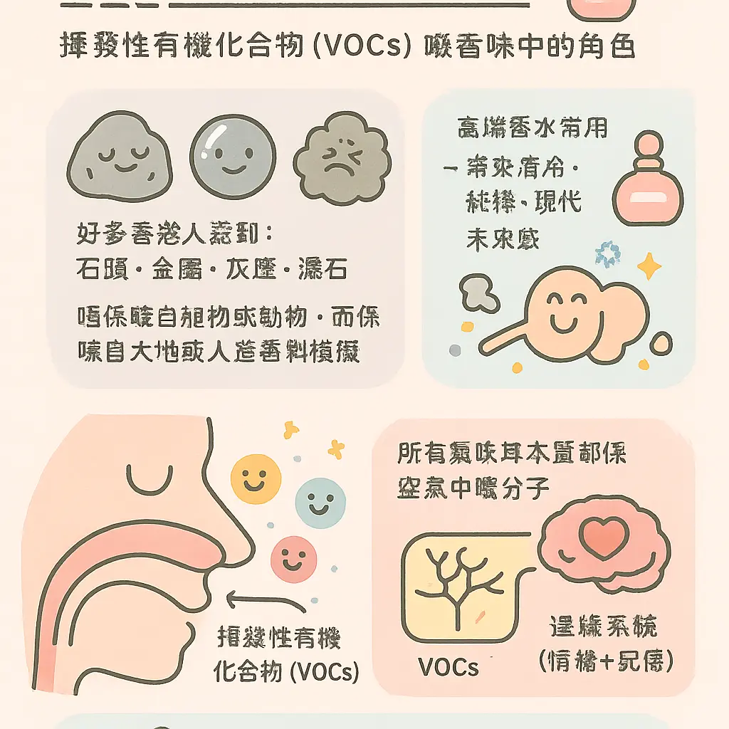 香味 - 揮發性有機化合物
